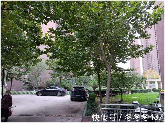 楼盘|保定楼市放松限购，“伪刚需”们又在蠢蠢欲动