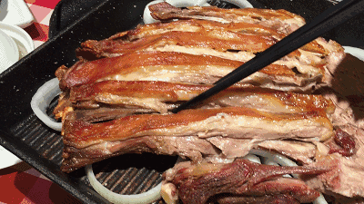 |搞笑GIF:别装了 我知道你就是故意的