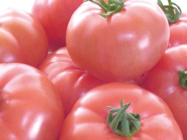 孕妈|女人怀孕后,4种食物生活中多吃一点,或能够帮助胎儿健康发育