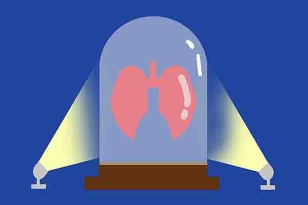 肌肉|每天平板支撑60秒，三个月后，身体会有怎样的变化真令人心动