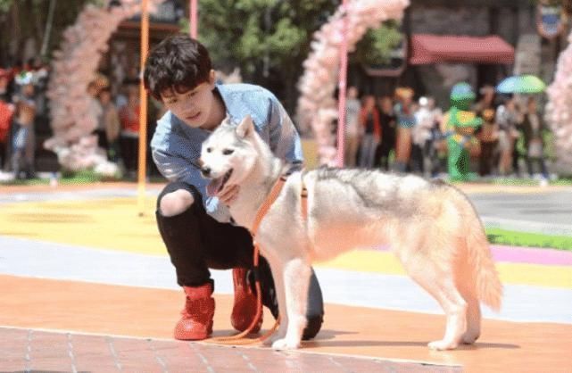 李現(xiàn)|原來這些明星都參加過《跑男》，但卻全程被冷落，如今紅到高攀不起