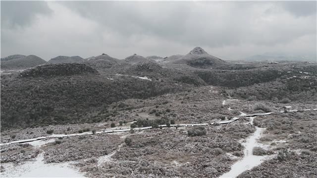 仙境|百里杜鹃，一下雪就美成仙境~