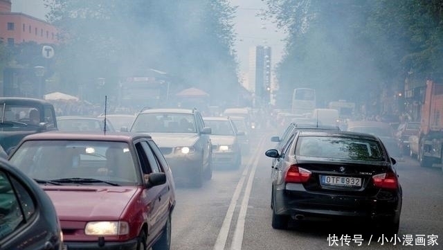 蒲公英|不论男女,五十岁后三道坎,熬过之后,就等待迎接长寿的洗礼吧!
