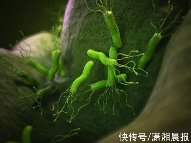 感染率|中国平均感染率高达59％，国内首个幽门螺杆菌自测产品发布