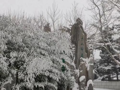 唯有雪花真绝色，飘落时节动师大