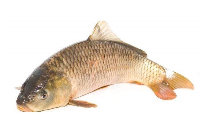 元气大伤|绿豆和它是“冤家”,若一起吃,可能会喂养“癌细胞”,引起注意