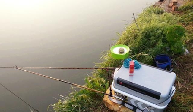 钓友|钓鲤鱼的最关键的2点，你知道吗老钓友为你解答