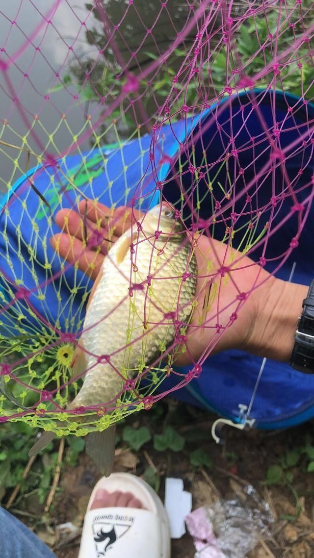 蓑笠哥|夏天大板鲫都藏在这些地方,方法用对就可以钓到