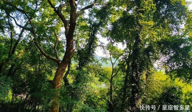 赫赫|岳麓书院——是中国历史上赫赫闻名的四大书院之一,学脉延绵