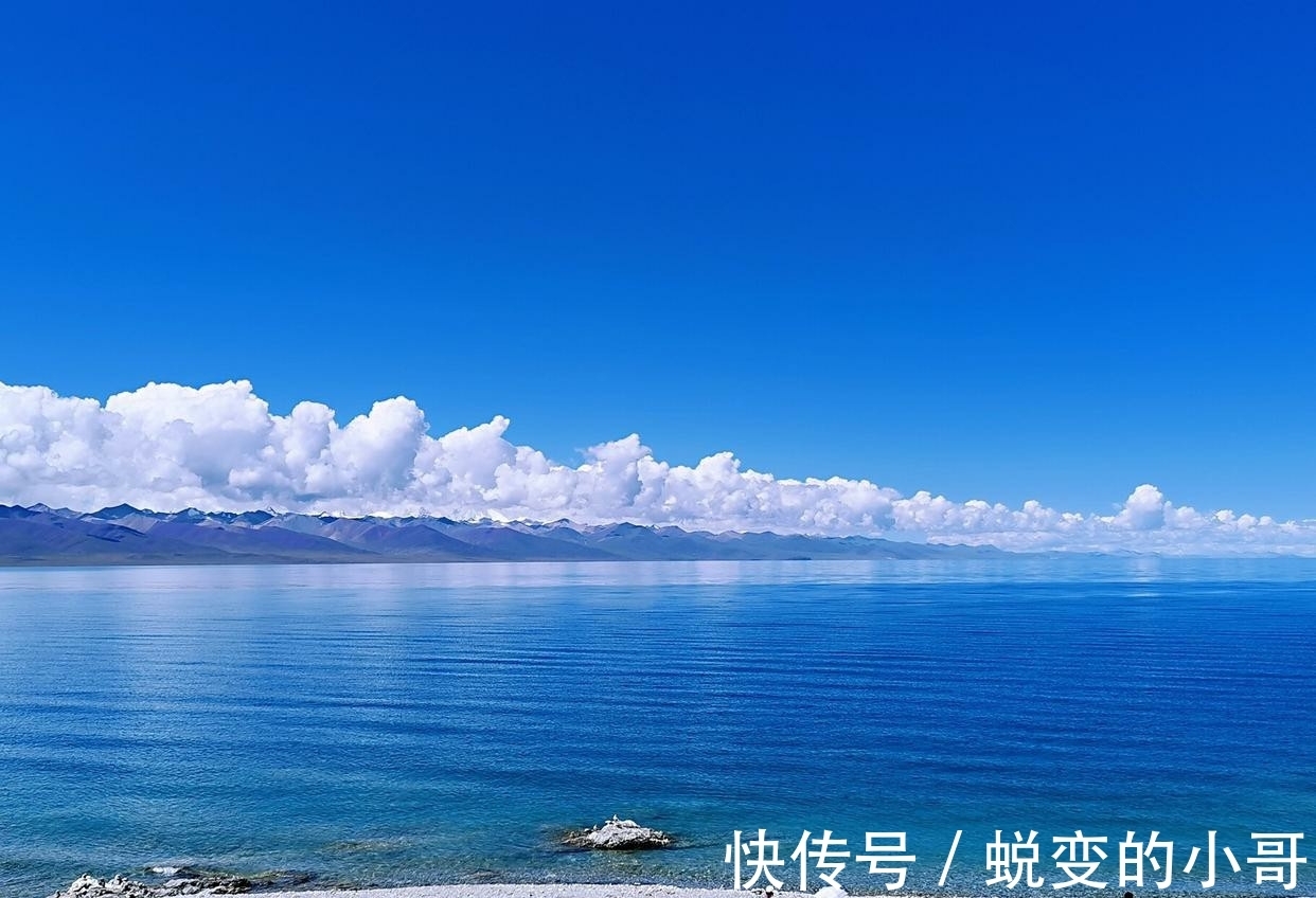 水力$雪化方懂云水力,春归自醉杨柳风