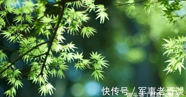 排痰|秋天是身体排痰的好季节,这样做养肺排痰,清除体内垃圾!