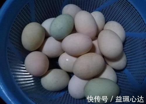 血脂|高血脂人群,尽量少吃这几种食物,或有利于血脂平稳