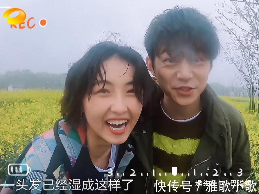 開業|《向往》圖書館開業,看到張子楓在牌子上畫的畫,才知她有多美好