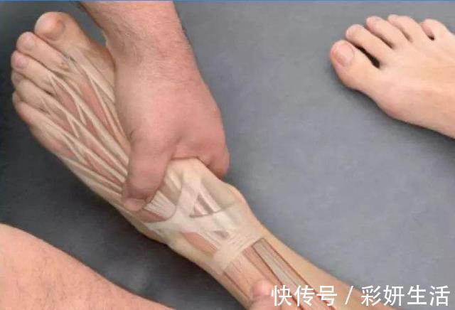 脚掌|学生这“3部位”越长,说明身高还能再“发育”,长大后妥妥的大高个