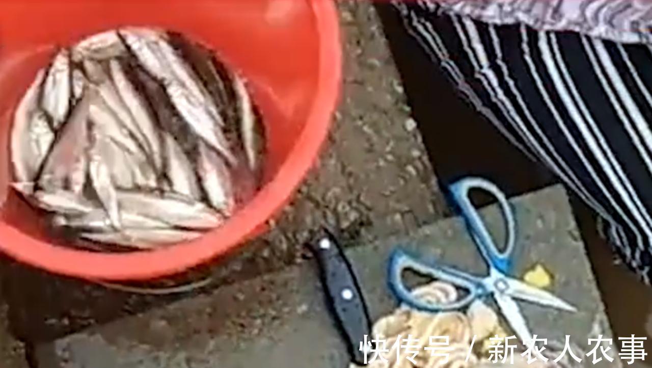 一举俩得!奶奶带孙子去河边杀鸡收获一盆意外之喜,小孩直接傻眼