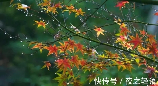 杜牧|立秋时节话唐诗,一组秋日之诗,感受杜牧充满哀愁的心境