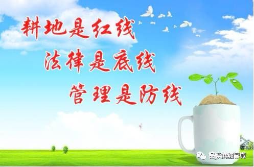 解读《中华人民共和国土地管理法》修正案