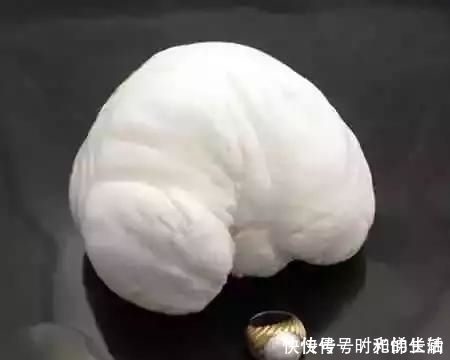 巴罗达|一颗珍珠卖上亿,世界上最负盛名的5件珍珠,长什么样?什么价?