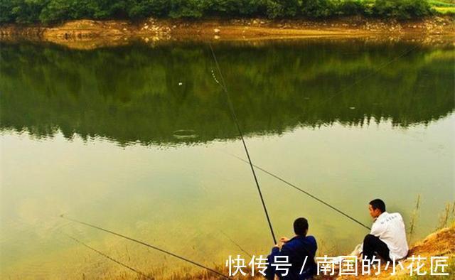 秋季|秋天钓鲤鱼,一要凉二要坡、三要等四要稳,没有钓不到鲤鱼的道理