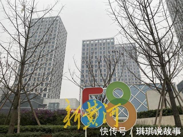 销售人员|成都女大学生首付23万打水漂律师销售帮造假 开发商应担责