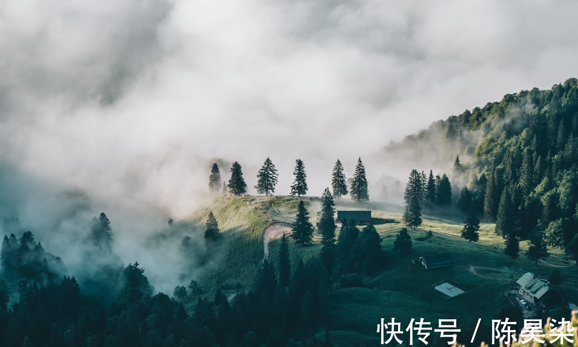 陆鸿渐$两首寻隐不遇诗:没有遇见,就是最好的遇见