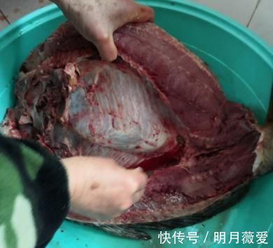 腊鱼|教你做腊鱼，从选鱼到晾晒，老方法都教你，做好咸香入味，腊味足
