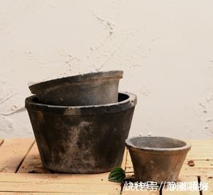 观赏价值|6种常见的养花盆，最后一种养花长不好，新手慎用！