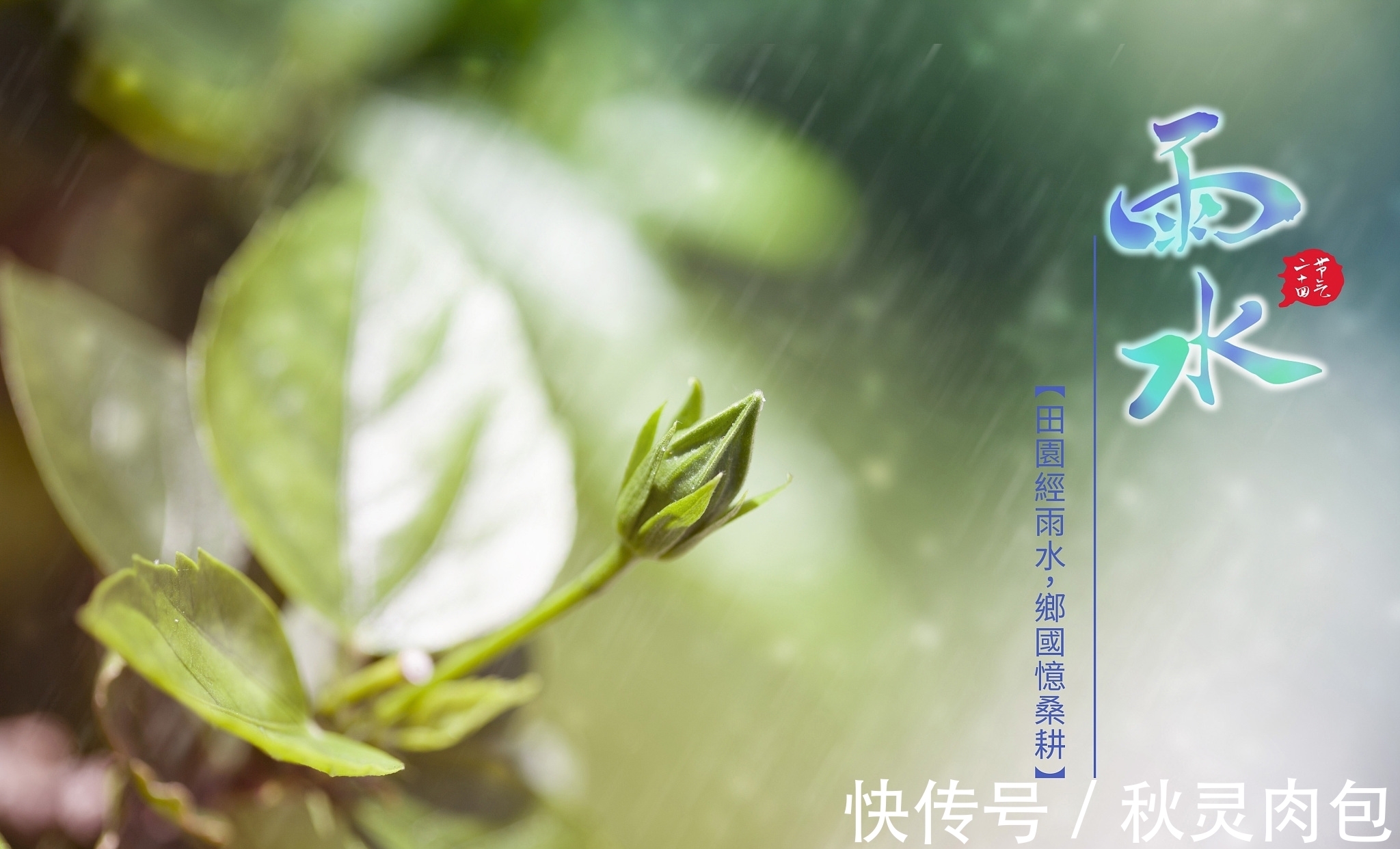 小楼!春雨清新诗词五首:沾衣欲湿杏花雨,吹面不寒杨柳风