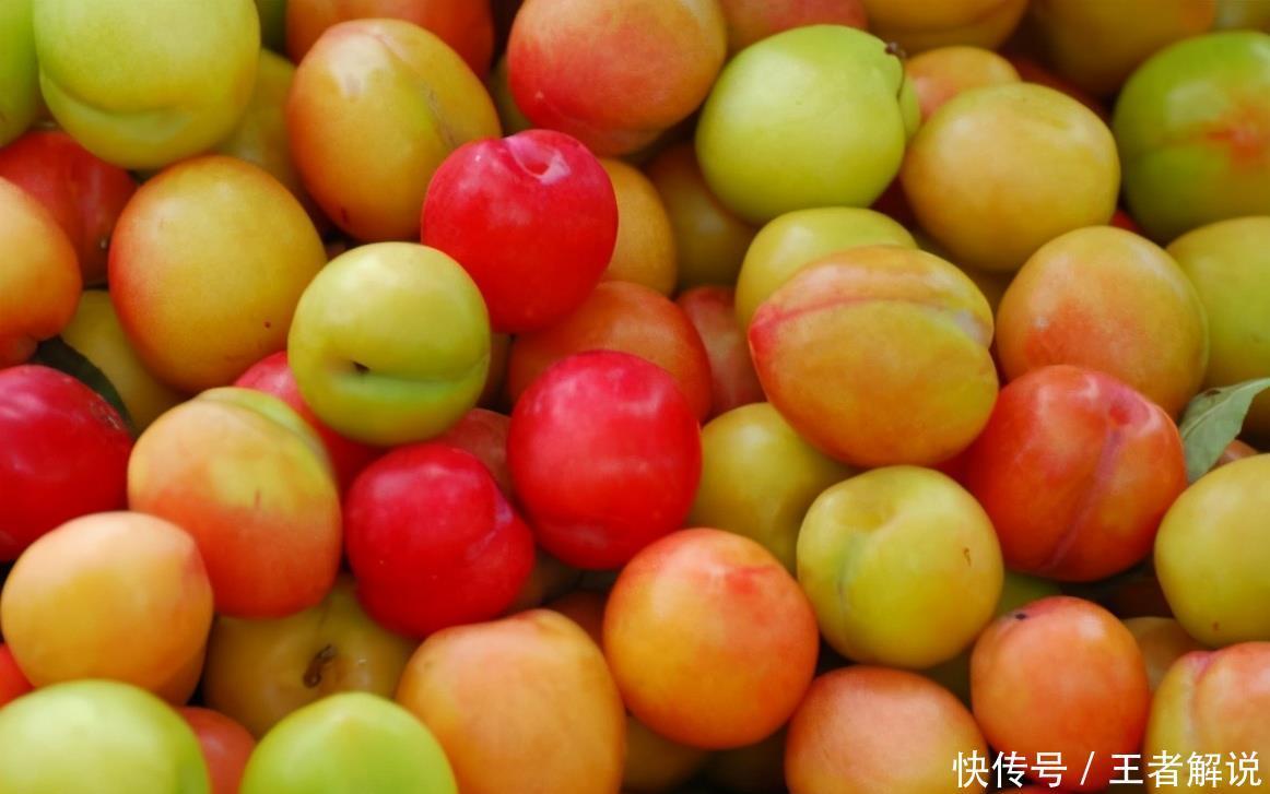 女性|冬天女性经常吃3种食物,祛除湿寒、调经补血,清理子宫毒素