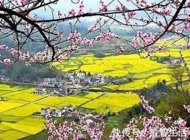 清新|杨万里的两首绝句,清新朴实,美如画卷,更令人百读不厌