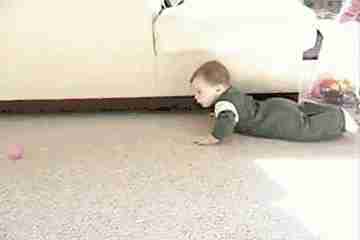 越“爬”越聪明,爬行敏感期错过很可惜!5种姿势助力宝宝学爬行