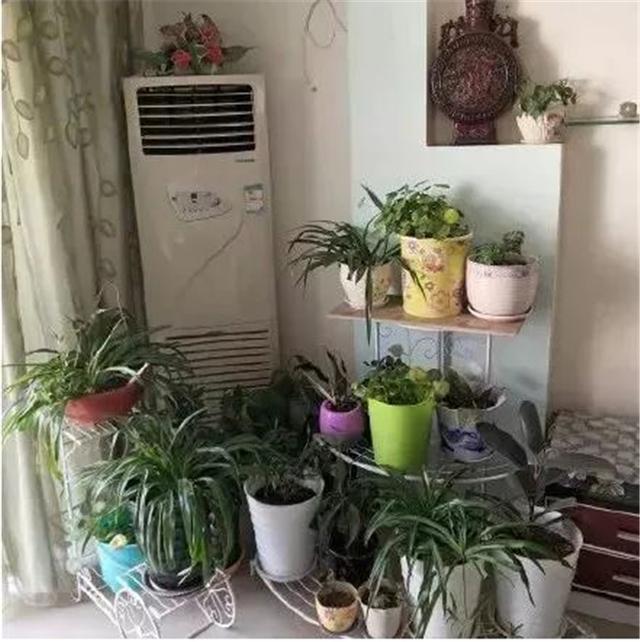 买家具|有种审美叫“父母的装修”,爸妈觉得好看,网友:土到极致就是潮