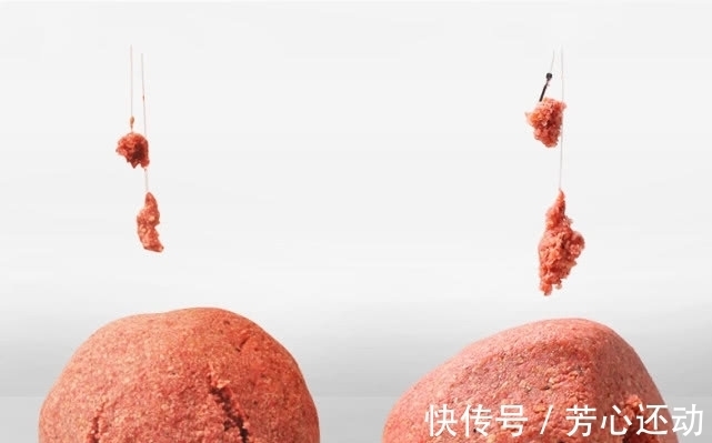 鱼情|同样的配方,别人爆护你空军?可能你求配方时忽略了这3个细节