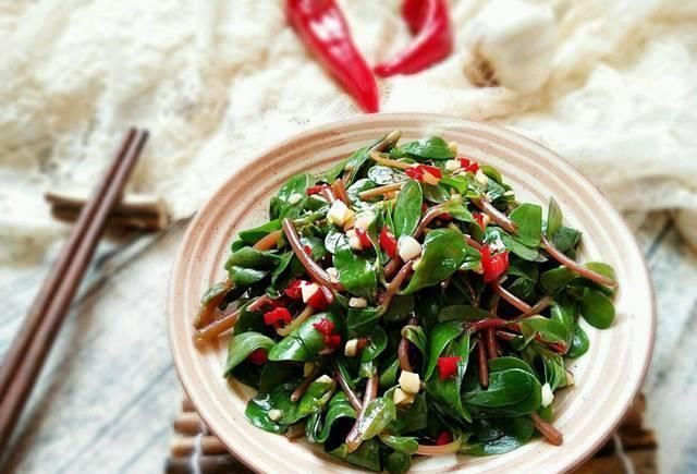 马齿笕|它被称为“药王”,好看又好吃,营养价值高,现在知道还不晚