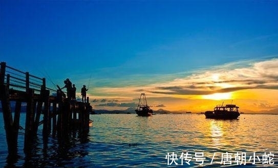 辛丑!七律|人间至美是清秋