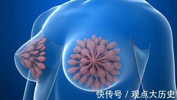 肺部|肿瘤科医生:体检时多做“这一项”检查,多数癌症能早期发现