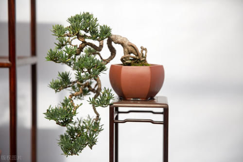 别再为浇水发愁了,给你支招“10多10少”浇水法,比啥方法多管用