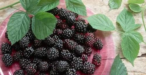 美白淡斑|女人贫血不要怕,多吃几种食物,美白淡斑,预防衰老,吃了显年轻