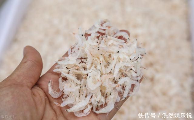 同样是虾皮,选白色还是浅红色?老渔民告诉你,以后别再买错了