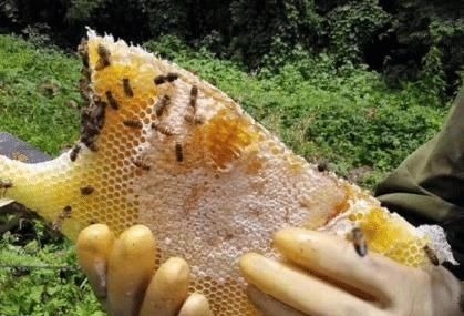 央视曝光它比“地沟油”都脏,孩子却当补品喝,父母别不在乎