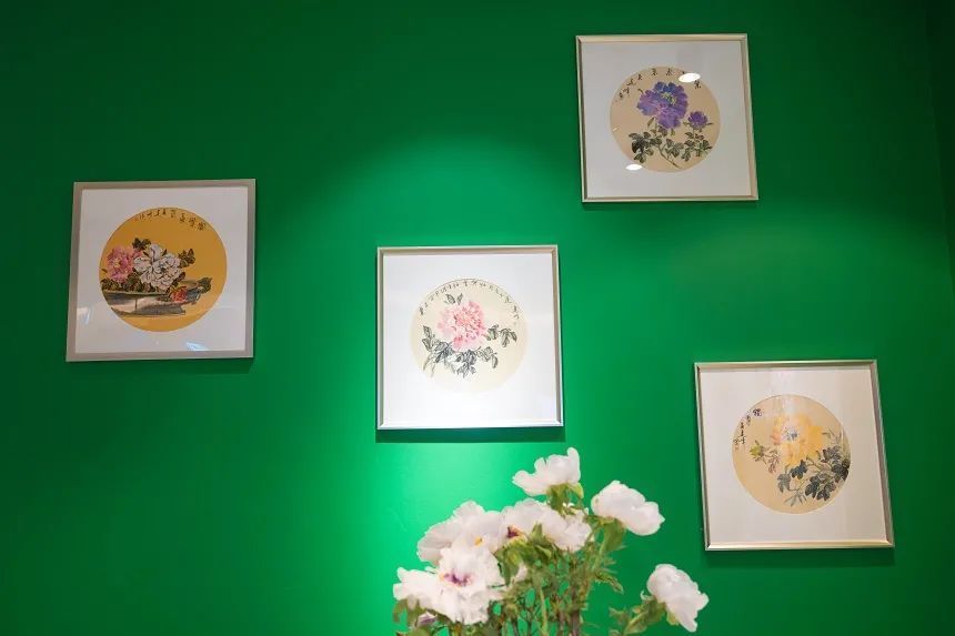 国色天香@唯有牡丹真国色,花开时节迎新春