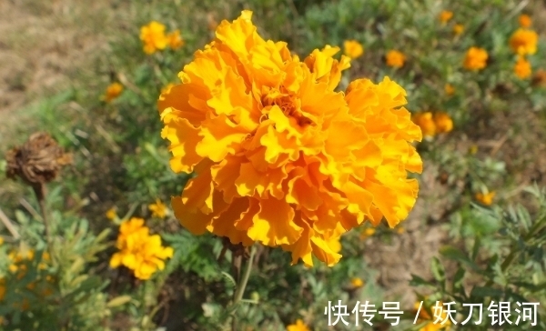 生肖|中秋后，坚持自我，保持初心，贵人相助，事业节节高升，生活无忧