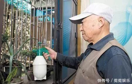 养花别只会傻傻浇水,老花匠教你1诀窍,让家里盆栽油光发亮