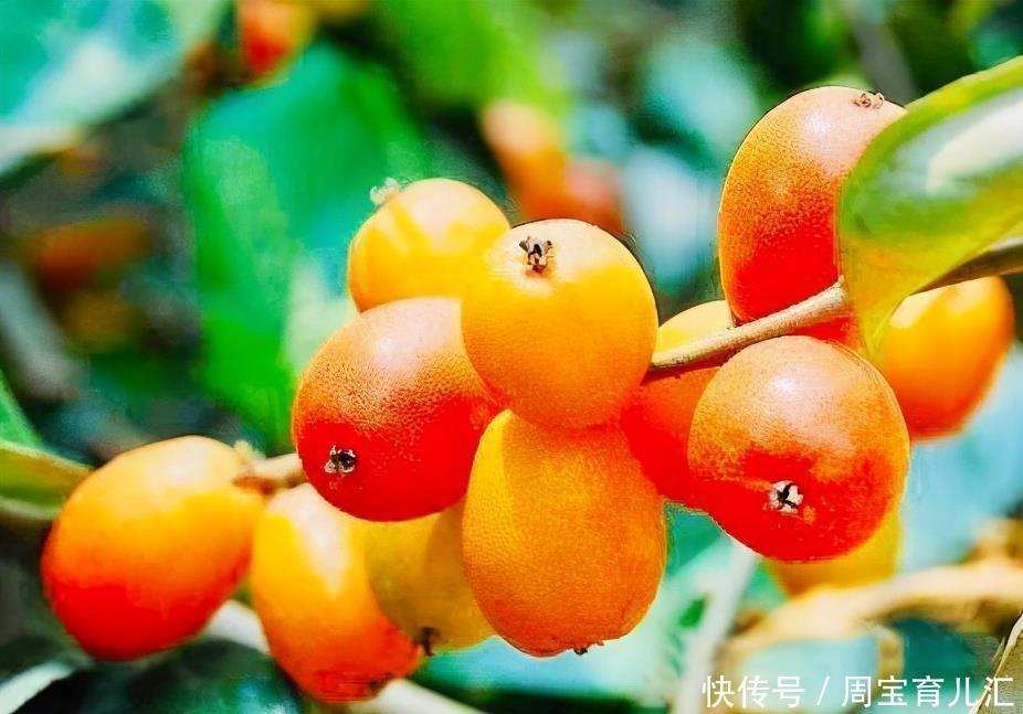  红润|女人爱美，常吃3种食物，排毒养颜，肌肤红润有光泽