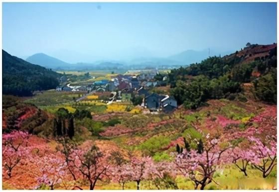 阳山畈|桃花源记-浙江杭州阳山畈村