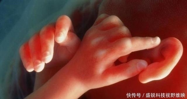 发育|怀孕后,若孕妈有3个“特殊”表现,说明胎儿很聪明,恭喜你