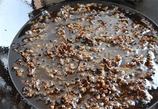 花椒油|家庭自制花椒油,详细做法配方教会你,又香又麻,比买的还香