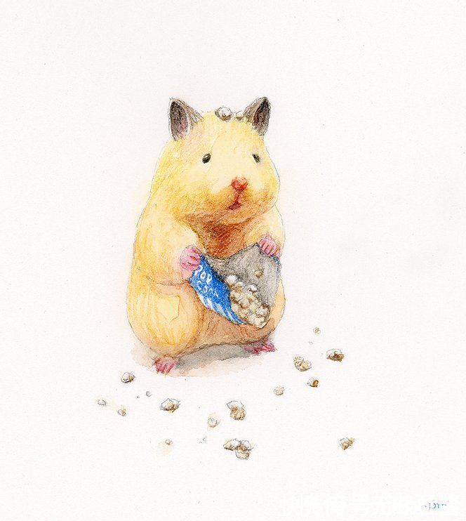 小仓鼠&他的插画主角是一只仓鼠,可爱的举动,萌到心都化了