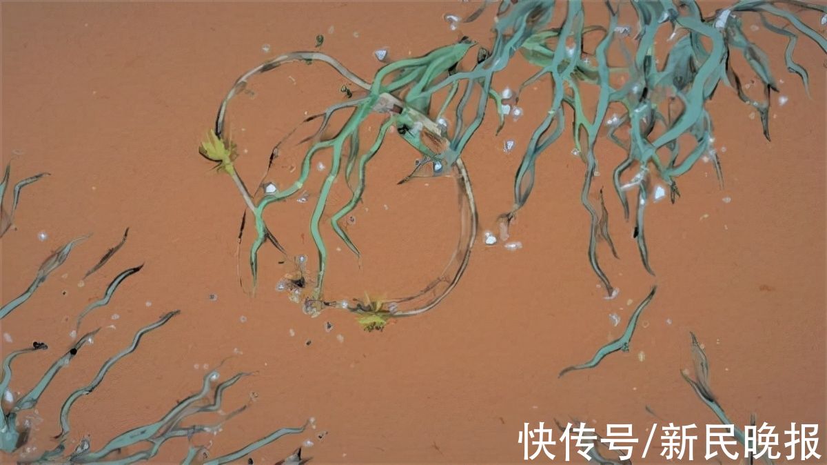 数字媒体！一场沉浸式的视听交响，这位“理工男”如何让二十四节气伴乐起舞？