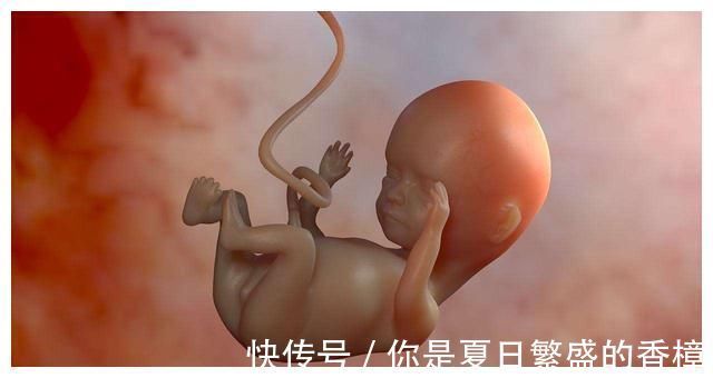 胎动|宝宝在腹中没“动静”了?妈妈不必惊慌,多半和这些因素有关